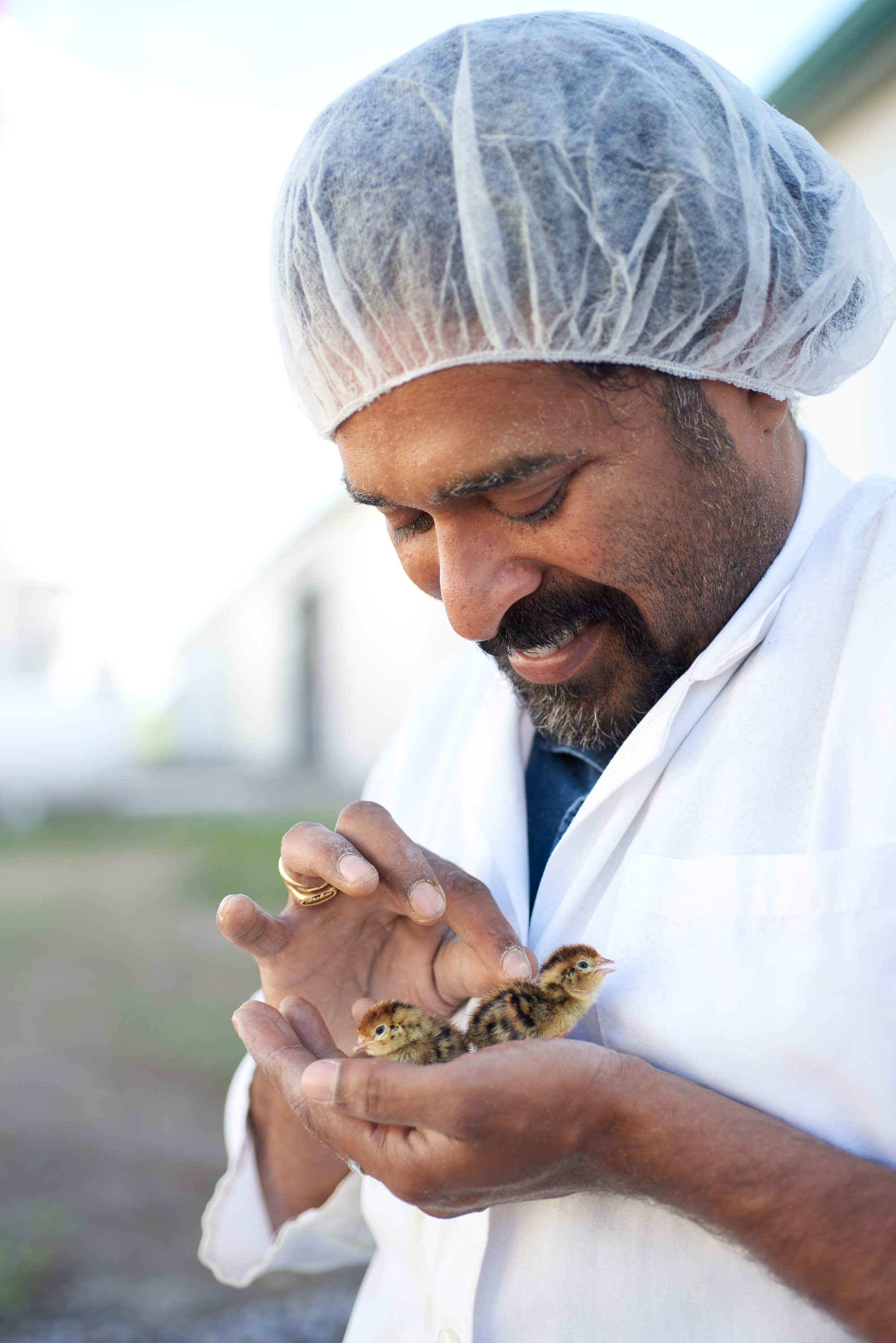 CC-SpringCreekQuailFarms_225