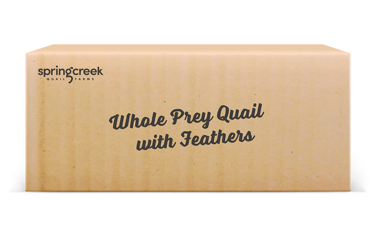 Whole Prey Quail