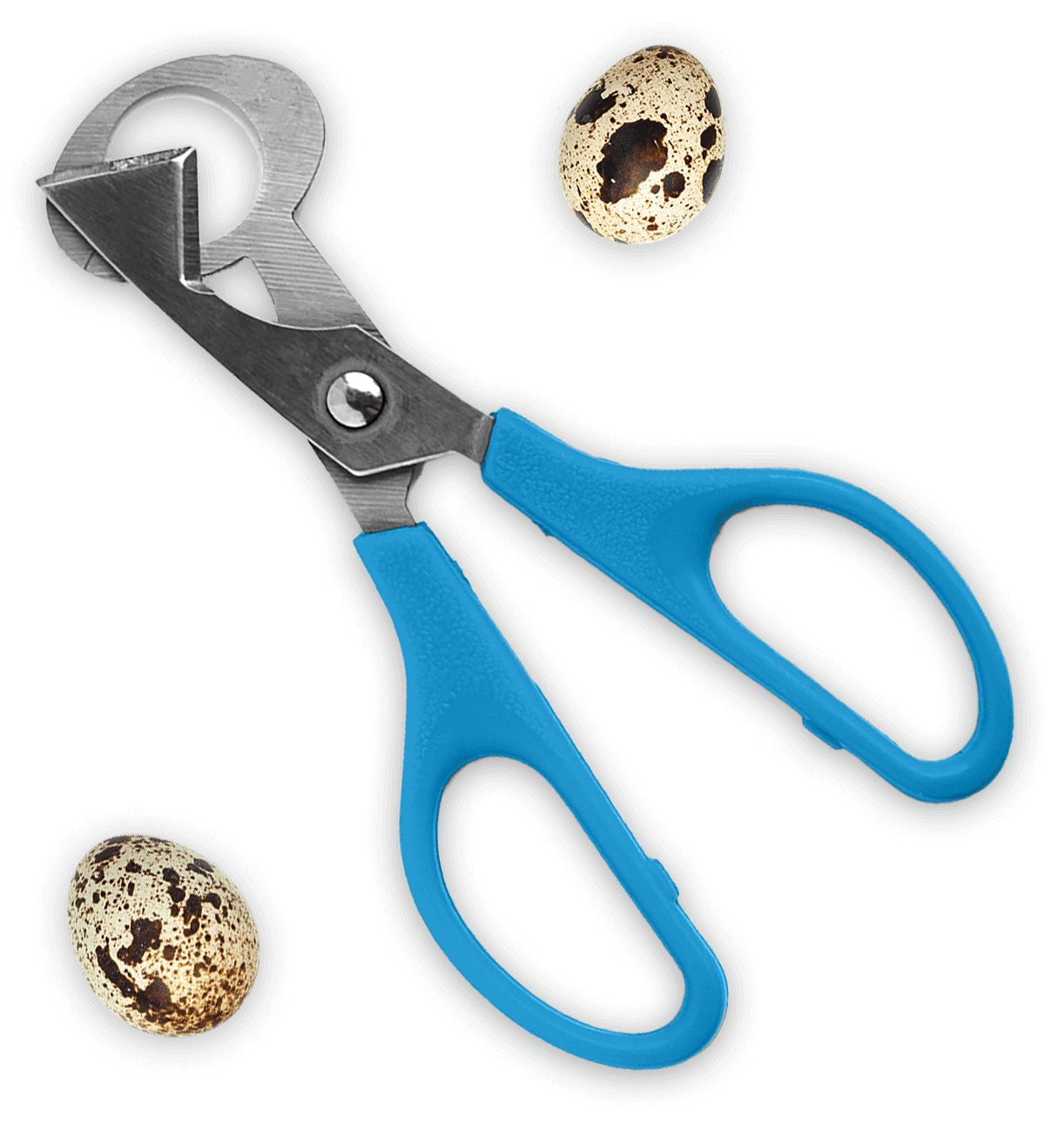 Quail Egg Scissors