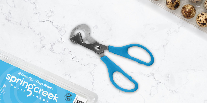 Hold, Snip, and Enjoy