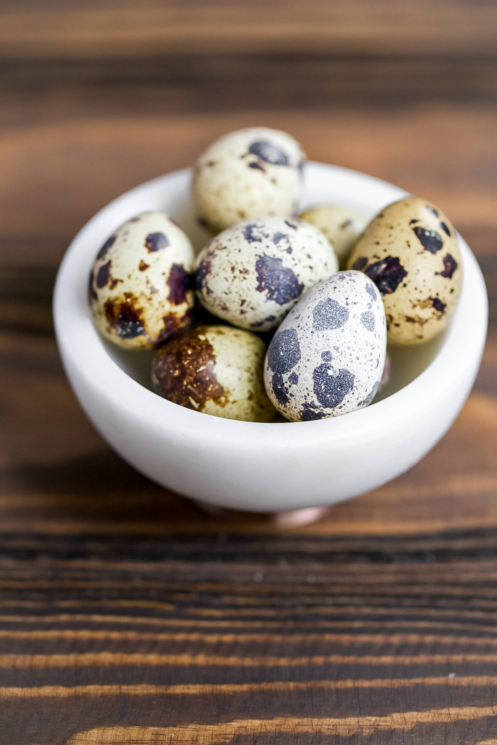 PotatoNests-3-scaled